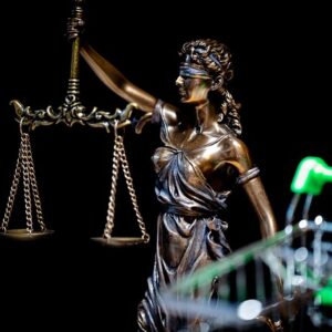 justitia, online shopping, dish, verdict, judge, law, penalty, justice, hammer, lawyer, attorney, legal basis, libra, authority, paragraph, symbol, dsgvo, the courtroom, system, judge, lawyer, lawyer, lawyer, lawyer, lawyer