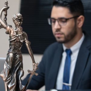 right, advocacy, lex, attorney, jura, justice, the regulation, bookshelf, paragraph, cool, law, symbol, goddess, justitia, the court, the case-law, woman, europe, bronze, the fair, business, horizontal, jus, statue, female, attorney, attorney, attorney, attorney, attorney, justice, law, law, law, law